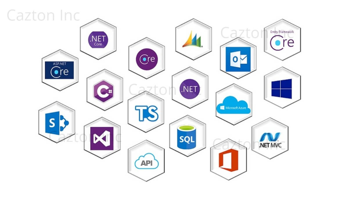 .NET Core Consulting